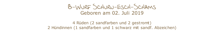 B-Wurf Schuru-esch-Schams Geboren am 02. Juli 2019  4 Rüden (2 sandfarben und 2 gestromt) 2 Hündinnen (1 sandfarben und 1 schwarz mit sandf. Abzeichen)