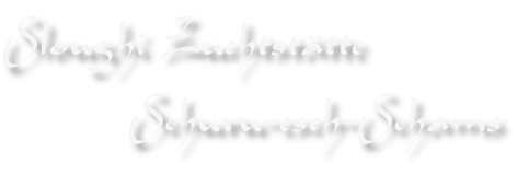 Sloughi Zuchtstätte 
        Schuru-esch-Schams