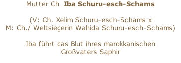 Mutter Ch. Iba Schuru-esch-Schams  (V: Ch. Xelim Schuru-esch-Schams x  M: Ch./ Weltsiegerin Wahida Schuru-esch-Schams)  Iba führt das Blut ihres marokkanischen  Großvaters Saphir